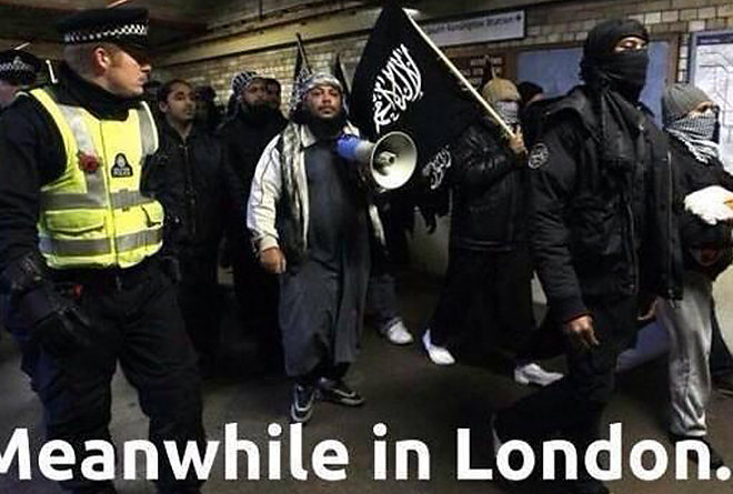 migransutlev.jpg migransutlev.jpg