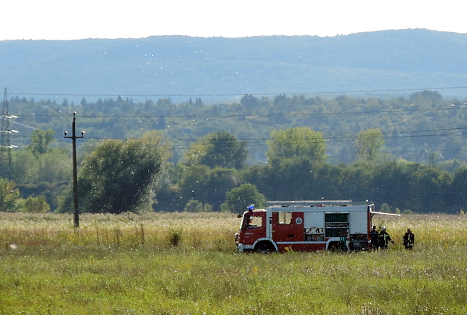 tarlotuz_170915_vcs_1.jpg