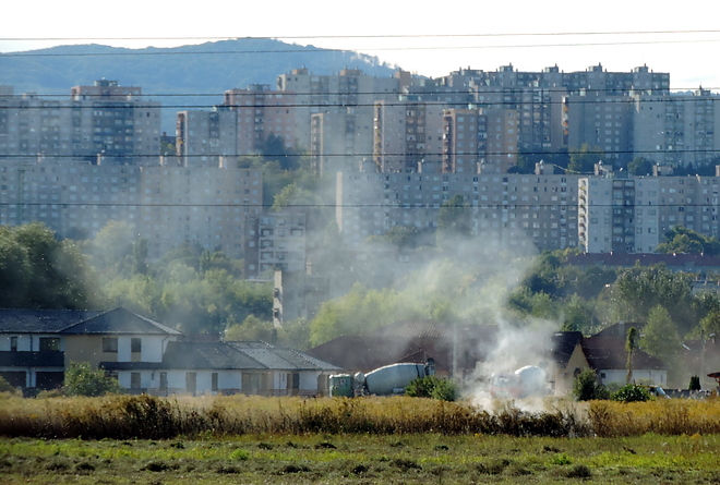 tarlotuz_170915_vcs_2.jpg
