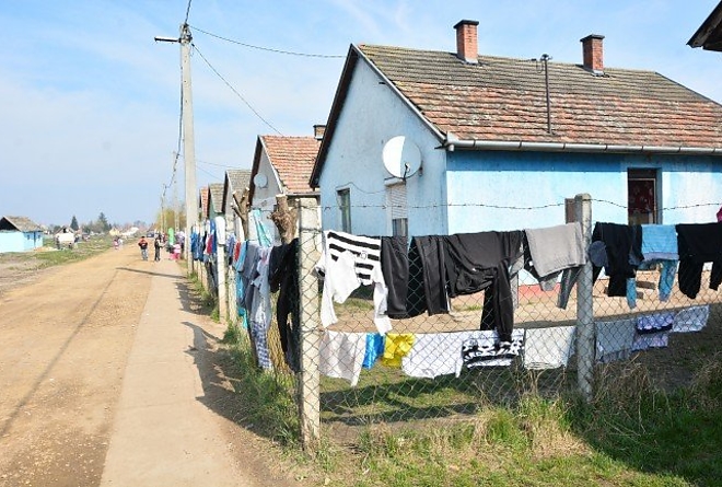 utca.jpg