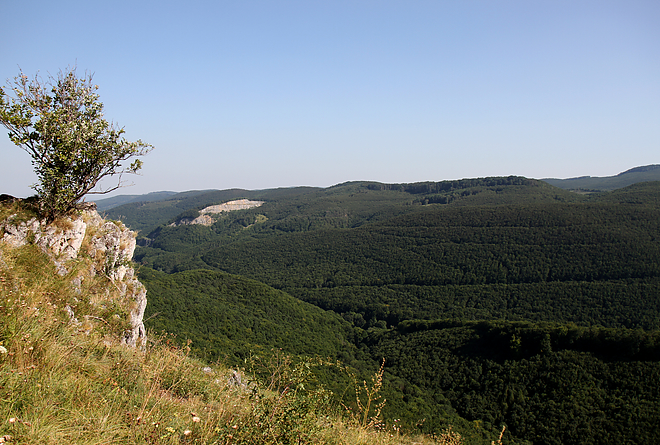 bukk_magos_ko_170811_ja_13.jpg