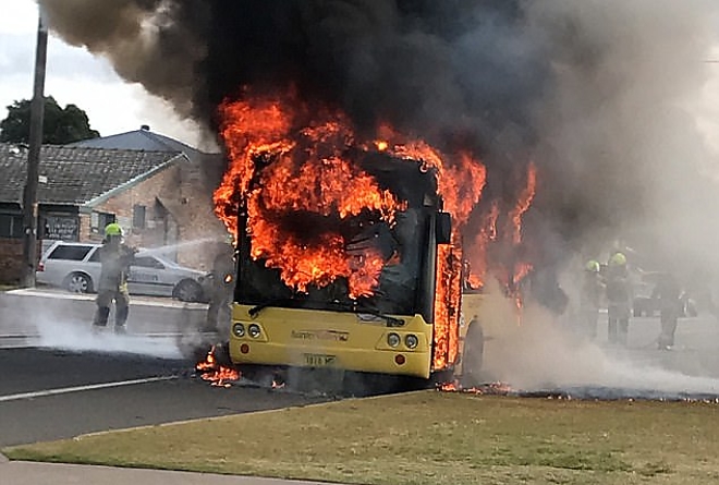 busz.jpg