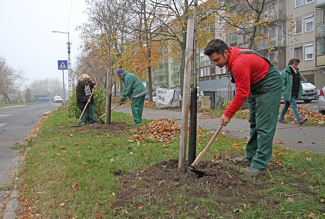 faultetes_matyas_kiraly_171027_ja_1.jpg