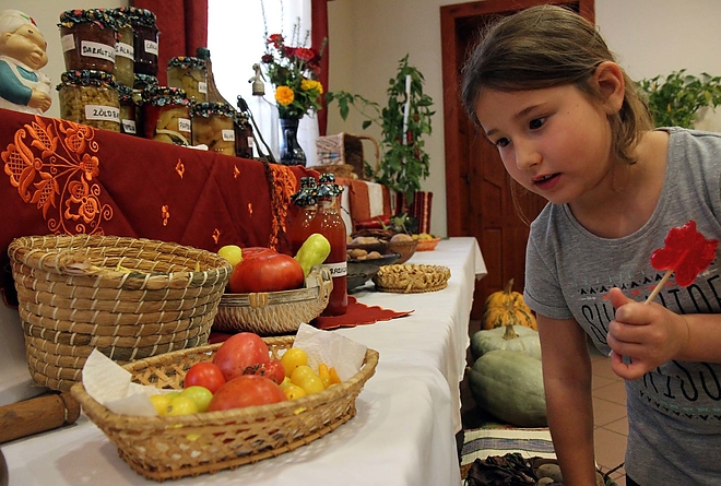 gorombolyi_osz_171014_ja_18.jpg gorombolyi_osz_171014_ja_18.jpg