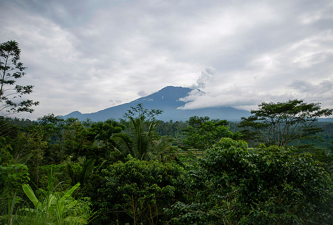 agung_uj_3.jpg