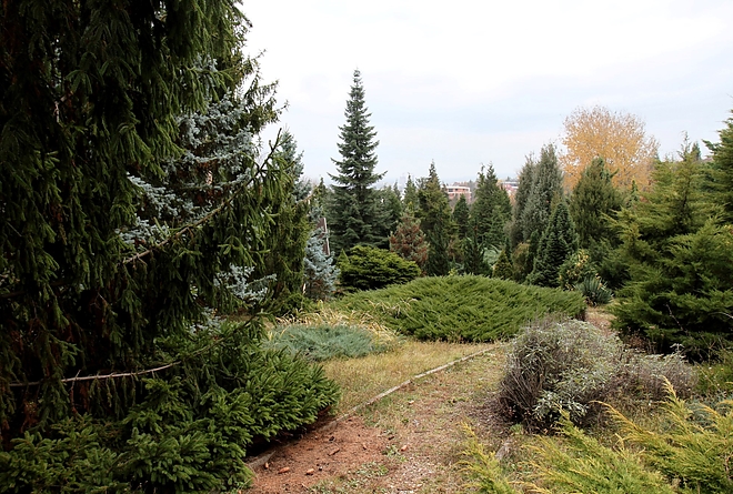 avasi_arboretum_171117_ja_2.jpg