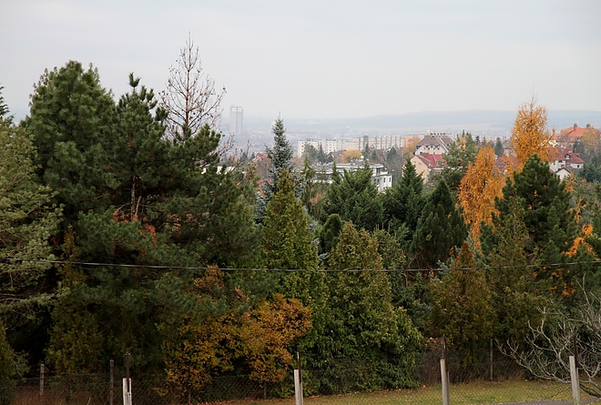 avasi_arboretum_fenyokert_ja_52.jpg