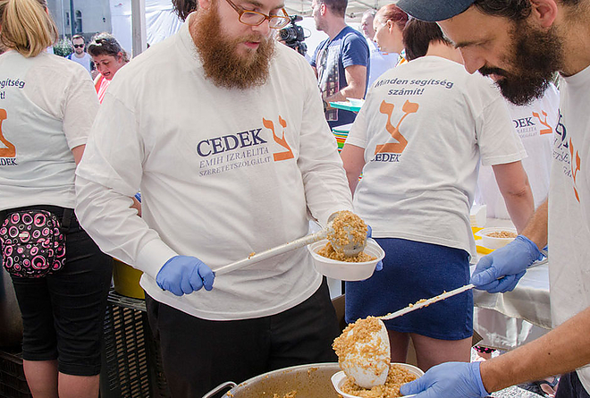 cedek_2.jpg cedek_2.jpg