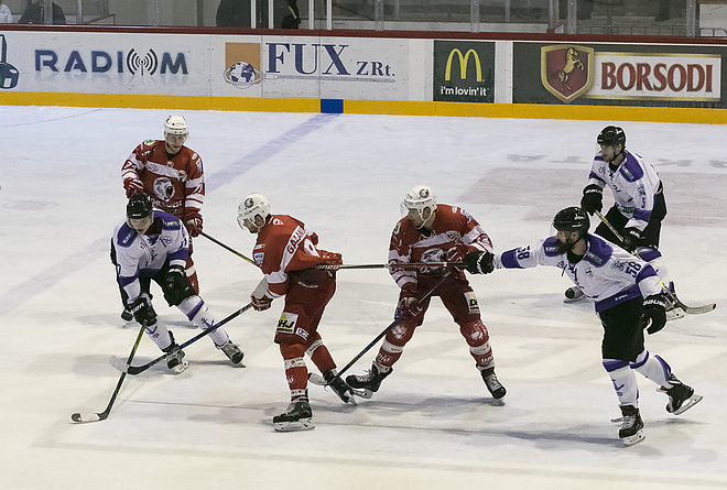 dvtk_jegesmedvek_ute_2-320171105_bl_037_web.jpg