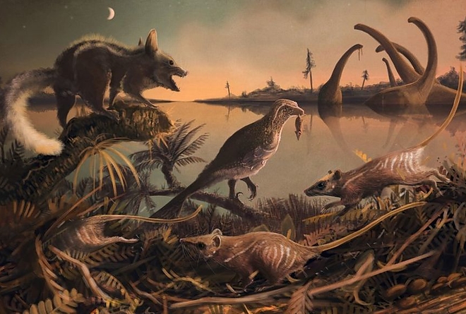 elso_emlos_fossil_bbc.jpg elso_emlos_fossil_bbc.jpg