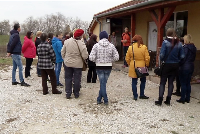 kutyagolas1108.jpg kutyagolas1108.jpg