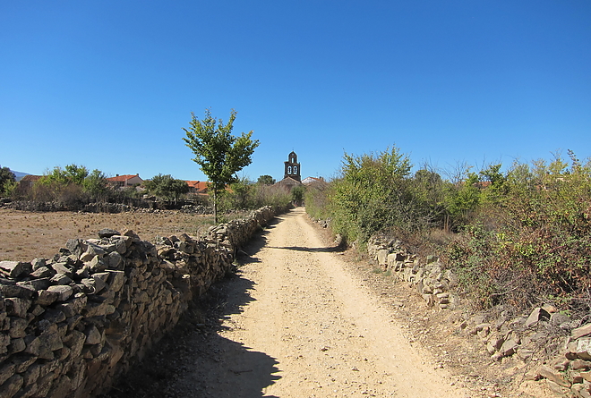 camino_5.jpg