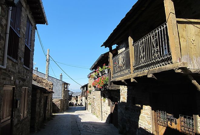 camino_7.jpg