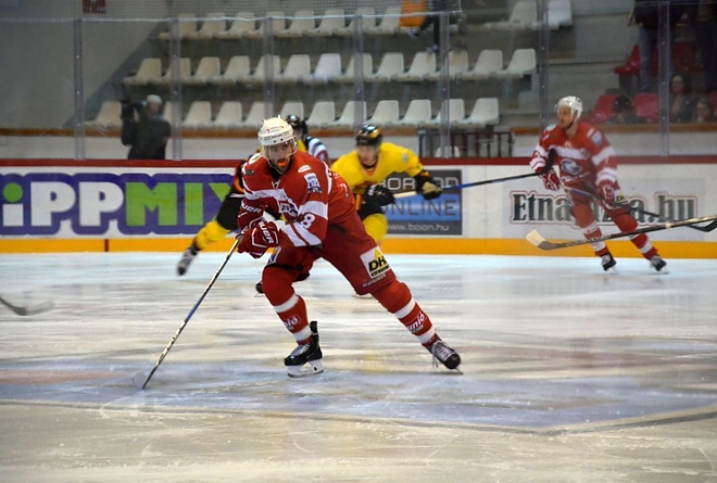 vienna_capitals_-_dvtk_jegesmedvek.jpeg