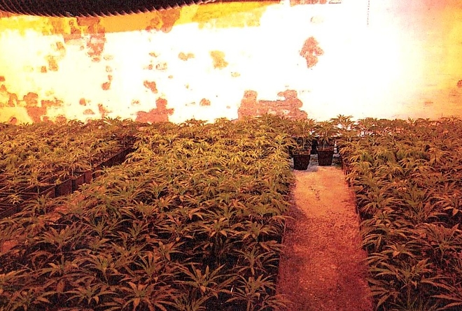 02.jpg