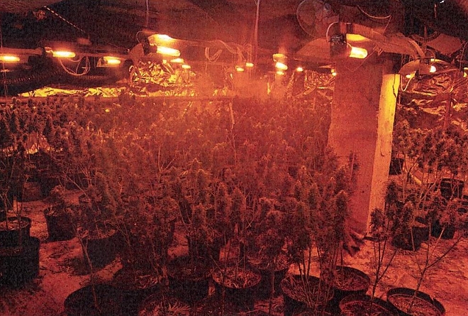 08.jpg