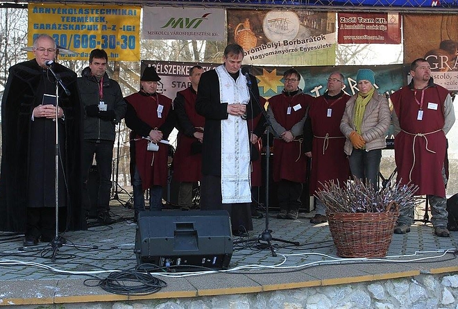 bor_teperto.jpg