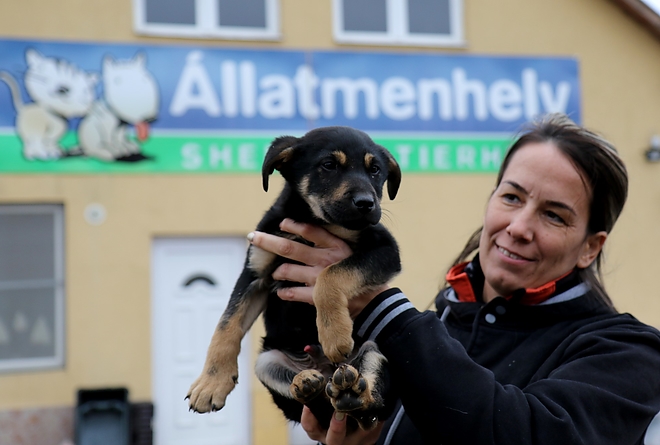 masa_szilveszter_utan_180103_ja_9.jpg masa_szilveszter_utan_180103_ja_9.jpg
