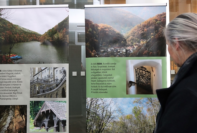 kupcsik_fotokiallitas_180226ml_12.jpg