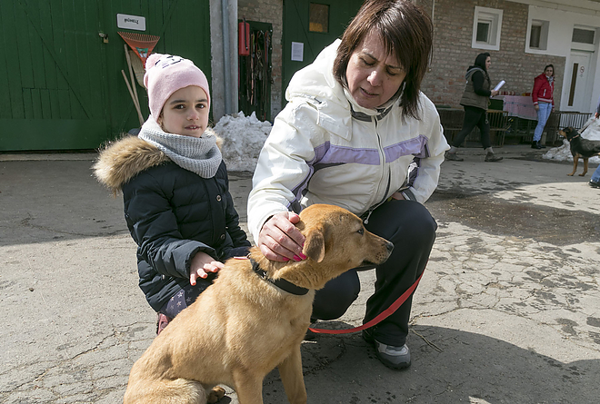 nyilt_nap_a_miskolci_allategeszsegugyi_telepen_20180324_bl_003_web.jpg