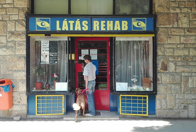 vakvezeto_kutya_4.jpg