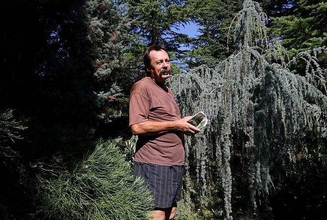 avasi_arboretum_180807_ja_11.jpg avasi_arboretum_180807_ja_11.jpg