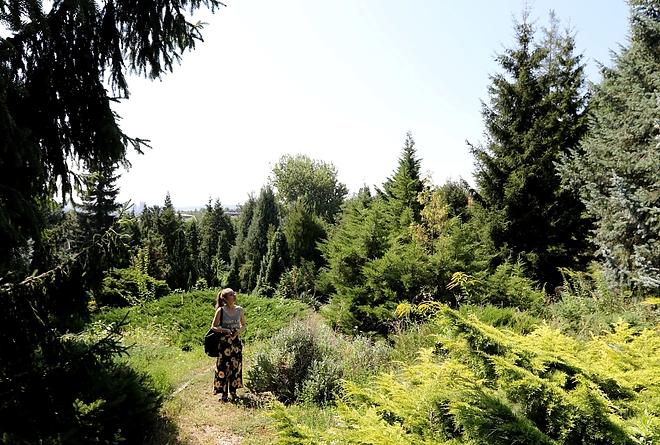 avasi_arboretum_180807_ja_33.jpg avasi_arboretum_180807_ja_33.jpg