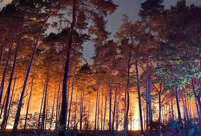 berlin_tuz.jpg berlin_tuz.jpg