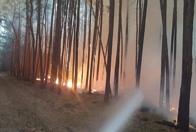 berlin_tuz_3.jpg berlin_tuz_3.jpg