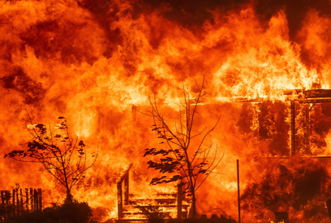 kalifornia_tuz.png kalifornia_tuz.png