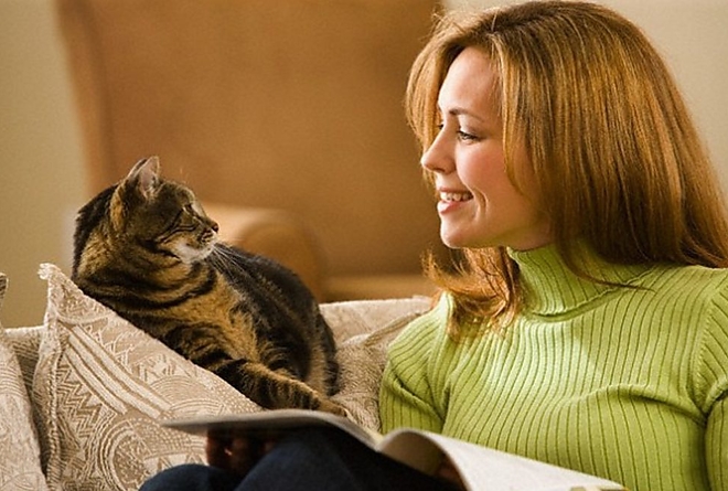 macska_gazdaja_cica.jpg macska_gazdaja_cica.jpg