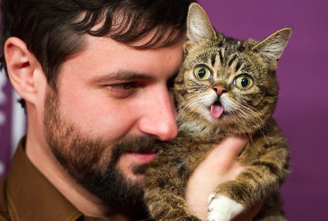 macska_lilbub.jpg macska_lilbub.jpg