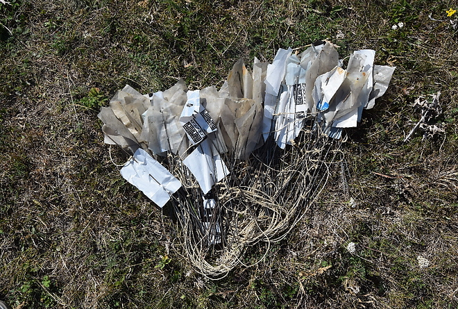 n3150421.jpg n3150421.jpg