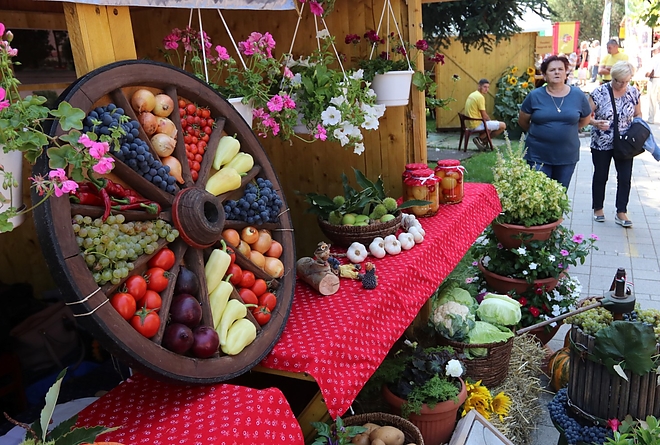 kozfoglalkoztatas_kiallitas_180907ml_23.jpg kozfoglalkoztatas_kiallitas_180907ml_23.jpg