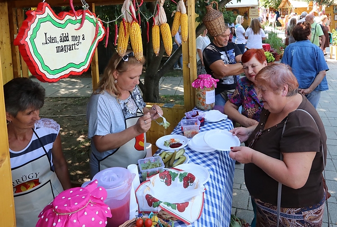 kozfoglalkoztatas_kiallitas_180907ml_27.jpg kozfoglalkoztatas_kiallitas_180907ml_27.jpg