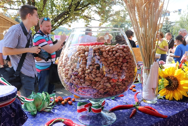 kozfoglalkoztatas_kiallitas_180907ml_77.jpg kozfoglalkoztatas_kiallitas_180907ml_77.jpg