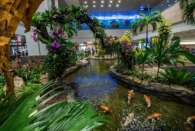 repuloter_szingapur_5.jpg repuloter_szingapur_5.jpg