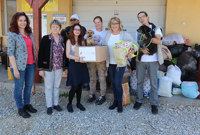 adomany_allatsegito_181012ml_10.jpg adomany_allatsegito_181012ml_10.jpg