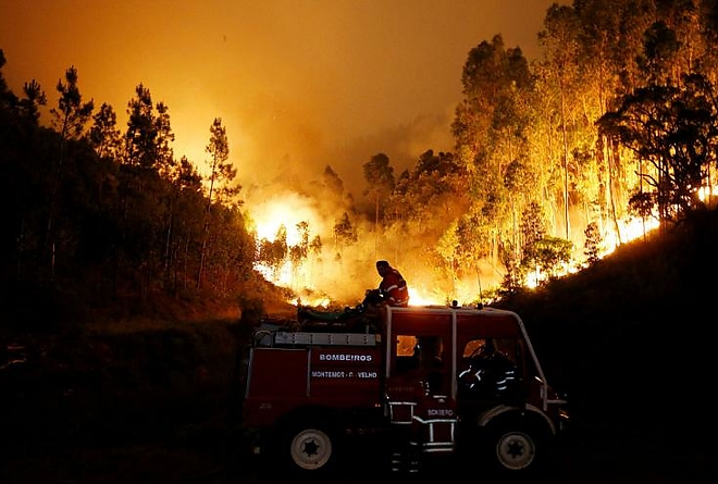 erdotuz_portugalia.jpg erdotuz_portugalia.jpg