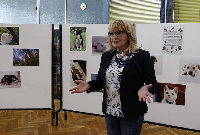 masa_kiallitas_181003_vcs_02.jpg masa_kiallitas_181003_vcs_02.jpg