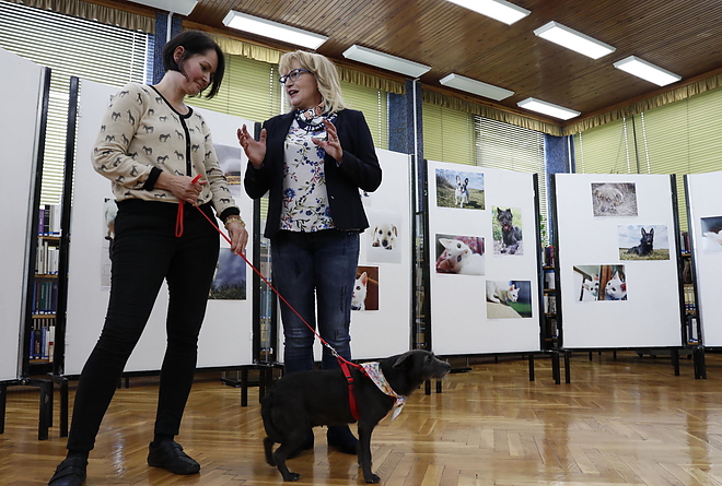 masa_kiallitas_181003_vcs_07.jpg masa_kiallitas_181003_vcs_07.jpg