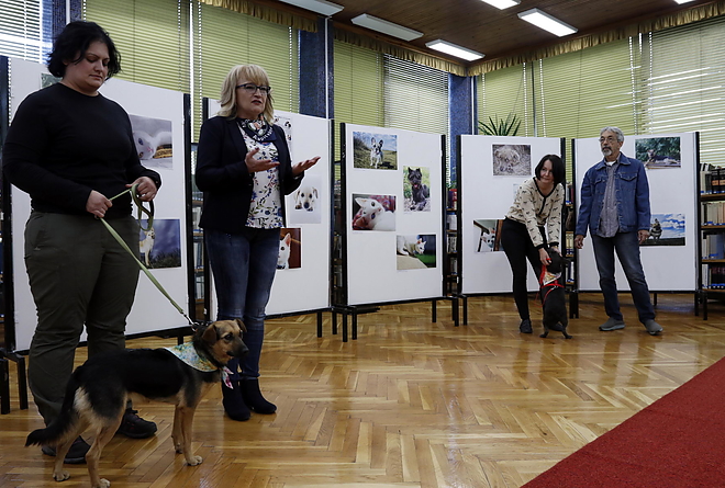 masa_kiallitas_181003_vcs_09.jpg masa_kiallitas_181003_vcs_09.jpg