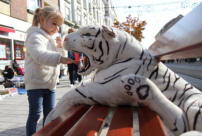 regisegvasar_181007ml_4.jpg regisegvasar_181007ml_4.jpg