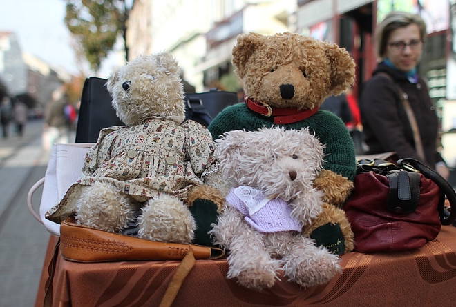 regisegvasar_181007ml_9.jpg regisegvasar_181007ml_9.jpg