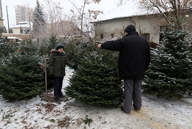 fenyovasar_181221_ja_1.jpg fenyovasar_181221_ja_1.jpg