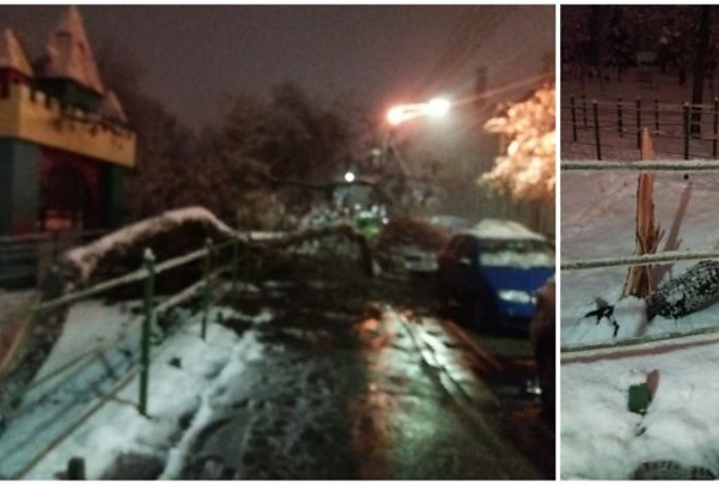 romania.jpg romania.jpg