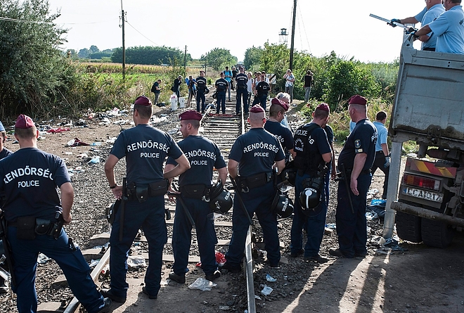 rendorseg.jpg rendorseg.jpg