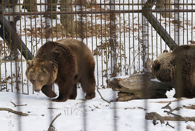 vadaspark_190122_vcs_05.jpg vadaspark_190122_vcs_05.jpg