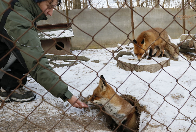 vadaspark_190122_vcs_11.jpg vadaspark_190122_vcs_11.jpg