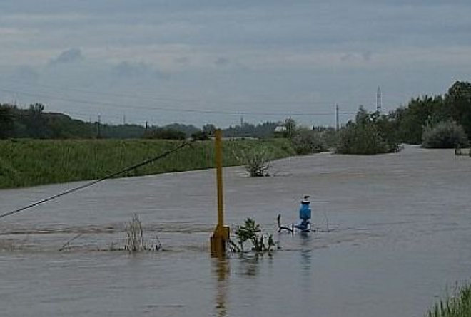 arvizjo1.jpg arvizjo1.jpg